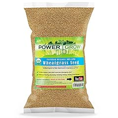 Wheatgrass seed powergrow for sale  Delivered anywhere in USA 
