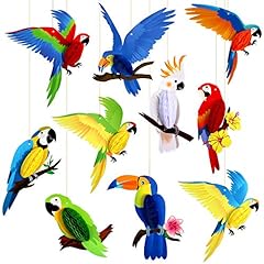 Pieces tropical birds for sale  Delivered anywhere in UK