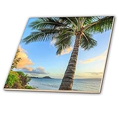 Inch ceramic tile for sale  Delivered anywhere in USA 