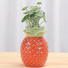 Cute pineapple vase for sale  Delivered anywhere in USA 