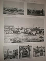 Antique prints 1902 d'occasion  Livré partout en France