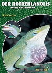 Rotkehlanolis anolis carolinen gebraucht kaufen  Wird an jeden Ort in Deutschland