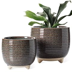 Tauci ceramic plant for sale  Delivered anywhere in USA 