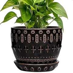 Epgardening ceramic pot for sale  Delivered anywhere in USA 