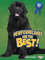 Newfoundlands best for sale  Delivered anywhere in USA 