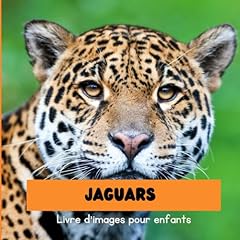Jaguars livre images d'occasion  Livré partout en France