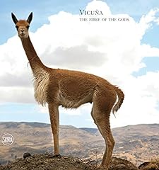Vicuña queen andes for sale  Delivered anywhere in UK