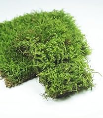 Live moss reptiles for sale  Delivered anywhere in USA 