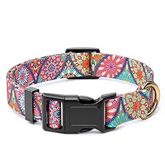 Rnivvi dog collar for sale  Delivered anywhere in USA 