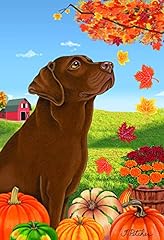 Chocolate labrador tomoyo for sale  Delivered anywhere in USA 