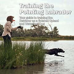 Training pointing labrador for sale  Delivered anywhere in USA 