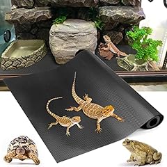 Vodolo bearded dragon for sale  Delivered anywhere in USA 
