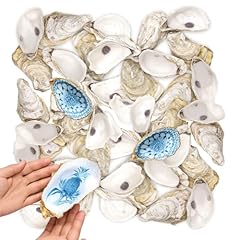 36pcs natural large for sale  Delivered anywhere in USA 