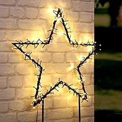 Unbekannt led gartenstecker gebraucht kaufen  Wird an jeden Ort in Deutschland