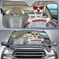 Car parabrezza parasole usato  Spedito ovunque in Italia 