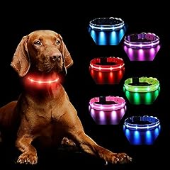 Hundehalsband leuchtend auflad gebraucht kaufen  Wird an jeden Ort in Deutschland