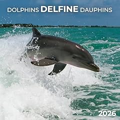 Delfine dolphins 2026 gebraucht kaufen  Wird an jeden Ort in Deutschland