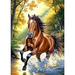 Ceovr diamond painting gebraucht kaufen  Wird an jeden Ort in Deutschland