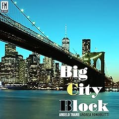 Big city block for sale  Delivered anywhere in USA 