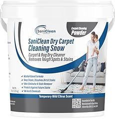 Saniclean carpet rug for sale  Delivered anywhere in USA 