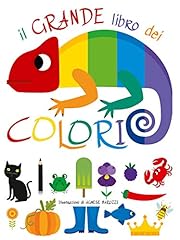 Grande libro dei usato  Spedito ovunque in Italia 