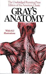 Anatomy descriptive surgical for sale  Delivered anywhere in USA 