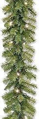 National tree company for sale  Delivered anywhere in USA 