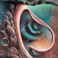 Meddle reimagined tribute usato  Spedito ovunque in Italia 