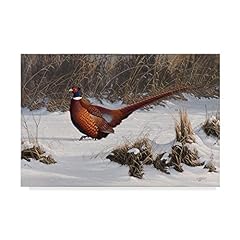 Winter walk pheasant for sale  Delivered anywhere in USA 