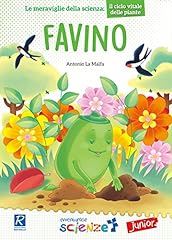 Favino d'occasion  Livré partout en France