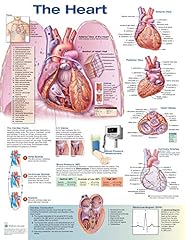 The heart usato  Spedito ovunque in Italia 