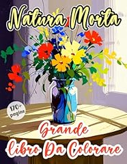 Grande libro colorare usato  Spedito ovunque in Italia 