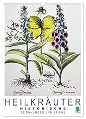 Heilkräuter historische zeich gebraucht kaufen  Wird an jeden Ort in Deutschland