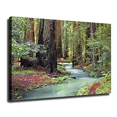 Redwood forest tree for sale  Delivered anywhere in USA 