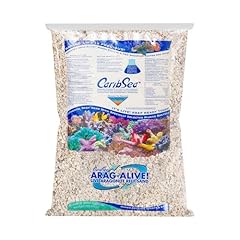 Caribsea arag alive for sale  Delivered anywhere in USA 