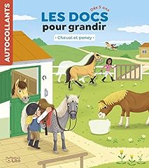 Cheval poney d'occasion  Livré partout en Belgiqu