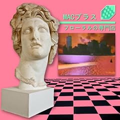 Macintosh plus floral usato  Spedito ovunque in Italia 