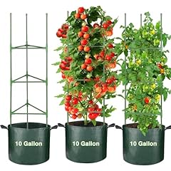 Tomato cages gallon for sale  Delivered anywhere in USA 