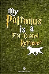 Patronus flat coated for sale  Delivered anywhere in UK