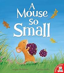 Mouse so small d'occasion  Livré partout en Belgiqu