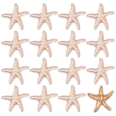 Beinkmake 16pcs starfish for sale  Delivered anywhere in UK