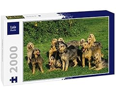 Lais puzzle griffon d'occasion  Livré partout en France