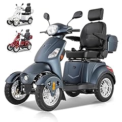 Zvgreen m500s25 elektromobil gebraucht kaufen  Wird an jeden Ort in Deutschland