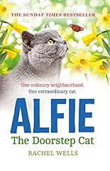 Alfie doorstep cat for sale  Delivered anywhere in USA 
