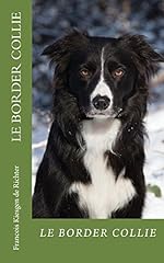 Border collie chiens d'occasion  Livré partout en France