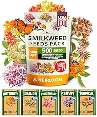 Home grown milkweed for sale  Delivered anywhere in USA 