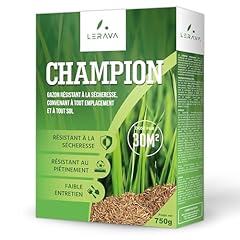 Lerava champion gazon d'occasion  Livré partout en Belgiqu