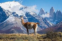 Guanaco standing mountains for sale  Delivered anywhere in USA 