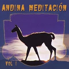 Andina meditation usato  Spedito ovunque in Italia 