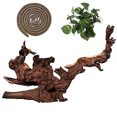 Hamiledyi reptile driftwood for sale  Delivered anywhere in USA 